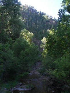 Spearfish Canyon