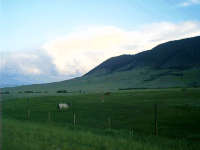 Horses, Snowy Range Road, Centennial, WY