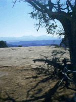 La Sal Mountains, Island in the Sky, Canyonlands NP