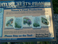 Marker, Alpine Meadow, Snowy Range Road, Medicine Bow NF