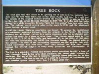Marker, Tree Rock, I-80, Laramie, WY