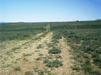 Ruts, South Pass, WY
