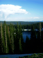 Snowy Range Road, Medicine Bow NF