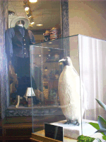 Stuffed Penguin, Little America, WY