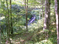 Fall Hollow, Natchez Trace, Hohenwald, TN