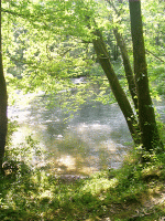 Metal Ford, Natchez Trace, Hohenwald, TN