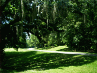 Natchez Trace Parkway, Natchez, MS