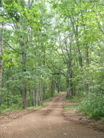 Old Trace Drive, Natchez Trace, Hohenwald, TN