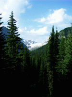Jackson Glacier, Glacier Park