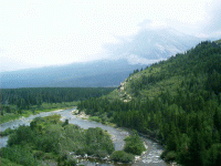 Swiftcurrent Creek, Glacier Park